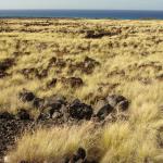 Big Island